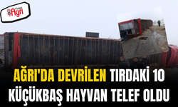 Ağrı'da devrilen tırdaki 10 küçükbaş hayvan telef oldu