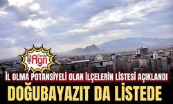 İl Olma Potansiyeli Olan İlçelerin Listesi Açıklandı Doğubayazıt da Listede