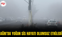 Ağrı’da Yoğun Sis Hayatı Olumsuz Etkiledi