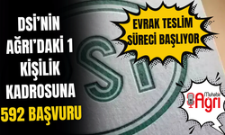 DSİ’nin Ağrı’daki 1 Kişilik Kadrosuna 592 Başvuru