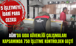 Ağrı'da gıda güvenliği çalışmaları kapsamında 750 işletme kontrolden geçti