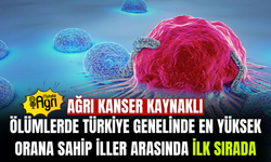 Ağrı'da Kanser Gerçeği TÜİK Açıkladı Ağrı ilk sırada