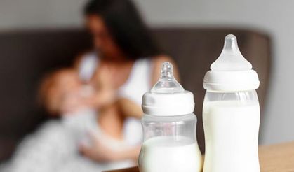 Anne Sütünü Artıran 10 Besin nelerdir
