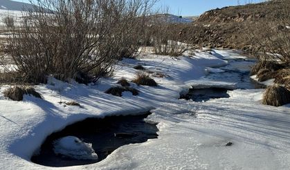 Erzurum, Ardahan ile Kars'ta soğuk hava etkili oluyor