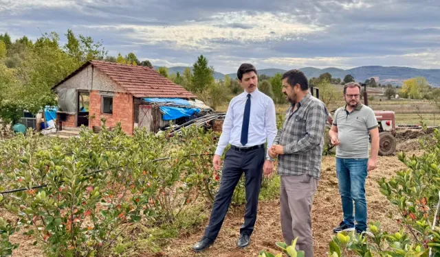 Kaymakam Kahraman’dan Ahududu ve Aronya tarlalarında inceleme