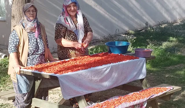 Kışın en ilgi gören tarhana çorbası için hazırlıklar başladı