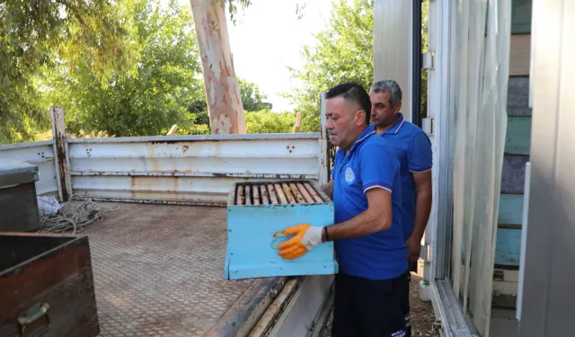 Yerel yönetimler arasında bir ilk: Temiz Petek Projesi