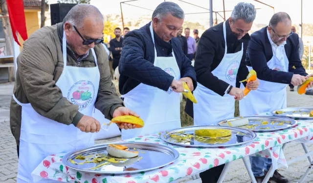 Bilecik'te Kızıldamlar Kestane Kabağı Festivali yapıldı