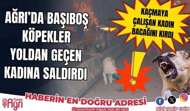 Ağrı’da Sabah Saatlerinde Kadına Köpekler Saldırdı