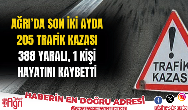 Ağrı’da Son İki Ayda 205 Trafik Kazası: 388 Yaralı, 1 Kişi Hayatını Kaybetti