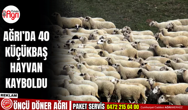 Ağrı Emniyet Müdürü Önder, KYK yurtlarında gece güvenlik tedbirlerini denetledi