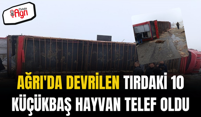 Ağrı'da devrilen tırdaki 10 küçükbaş hayvan telef oldu