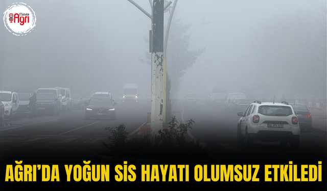 Ağrı’da Yoğun Sis Hayatı Olumsuz Etkiledi
