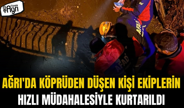 Ağrı'da köprüden düşen kişi ekiplerin hızlı müdahalesiyle kurtarıldı