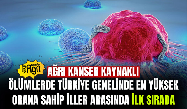 Ağrı'da Kanser Gerçeği TÜİK Açıkladı Ağrı ilk sırada