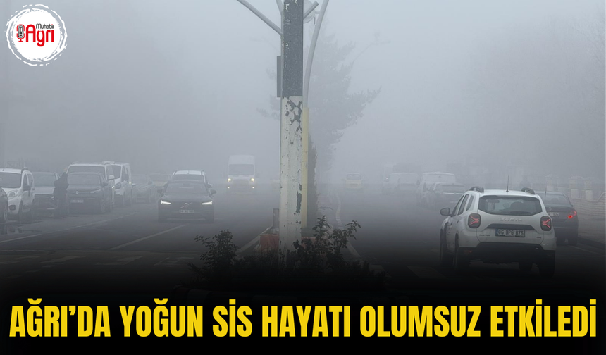 Ağrı’da Yoğun Sis Hayatı Olumsuz Etkiledi