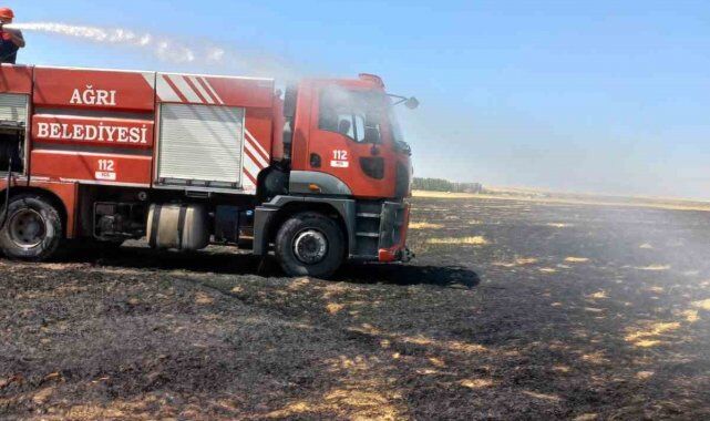 agrida-cikan-yanginda-bir-tarla-kule-dondu-agrinin-merkeze-bagl