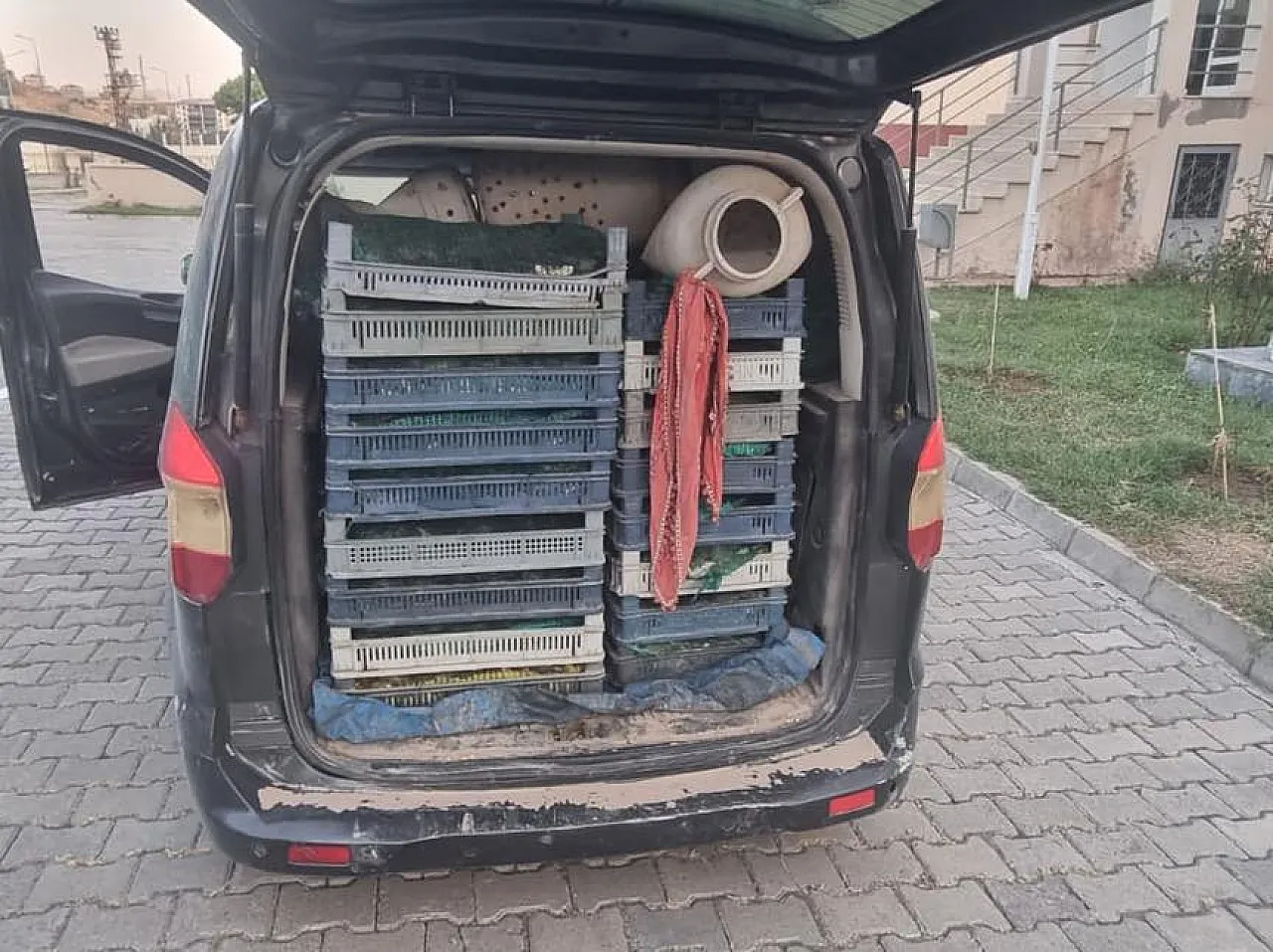 536275530 122247894818219956 315352030651884435 N 1755689791 Mt Z Ahi