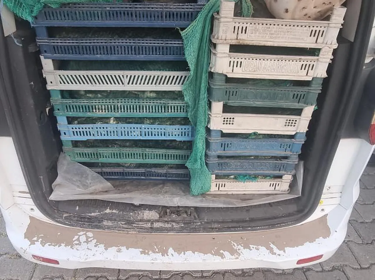 536288121 122247894836219956 823338248741024432 N 1755689783 S B Fez H