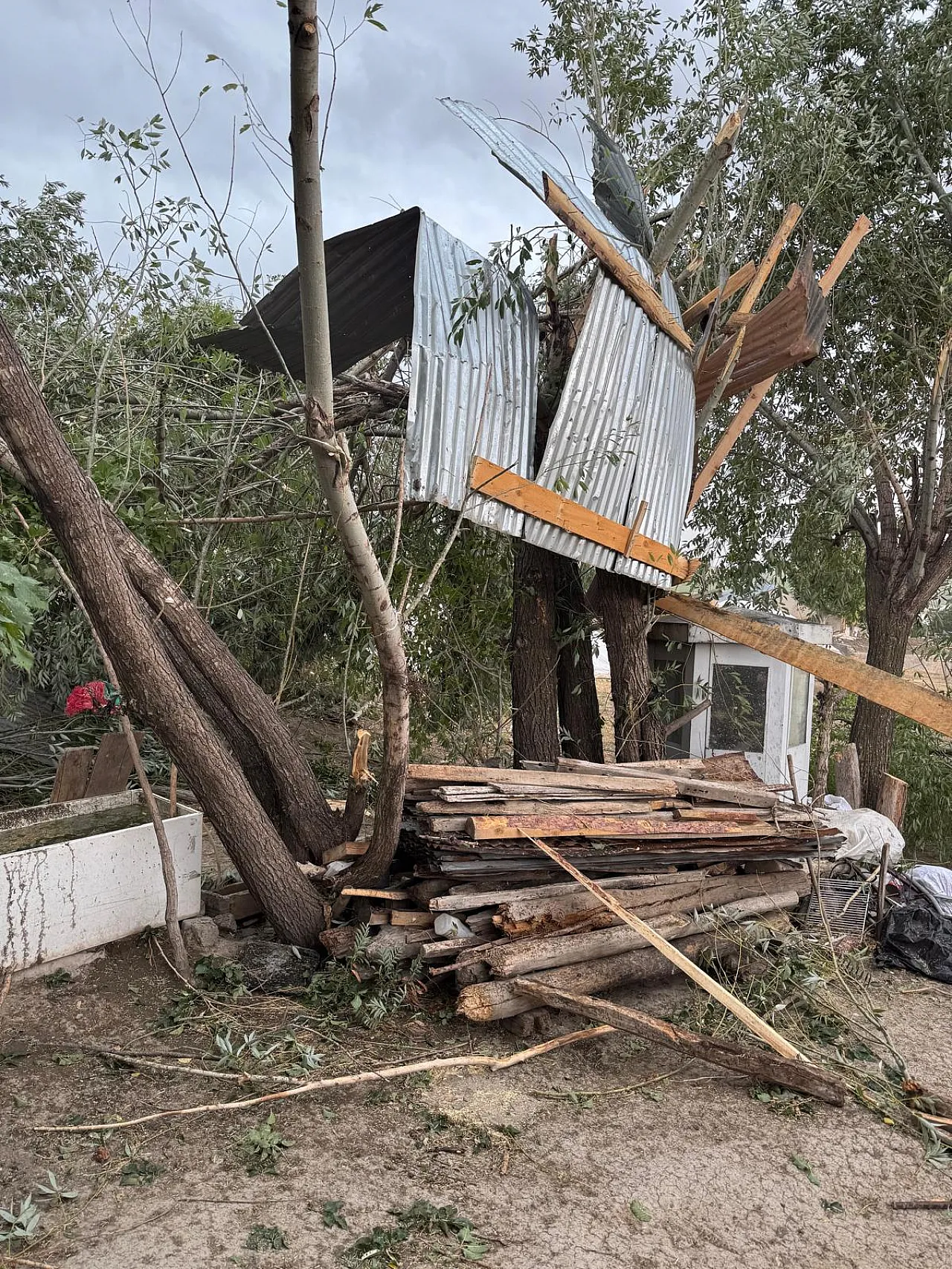 3F91D099 E862 4F5E Ae40 5A01F6Ec7Ac3 1757588001 L0 Da Ob