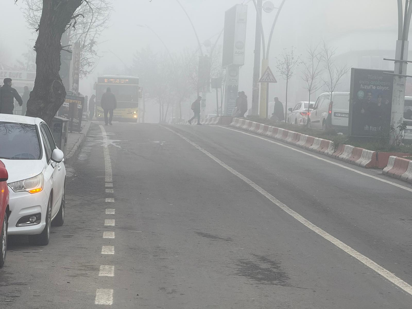 Whatsapp Image 2025 12 09 At 09.13.46 (4)